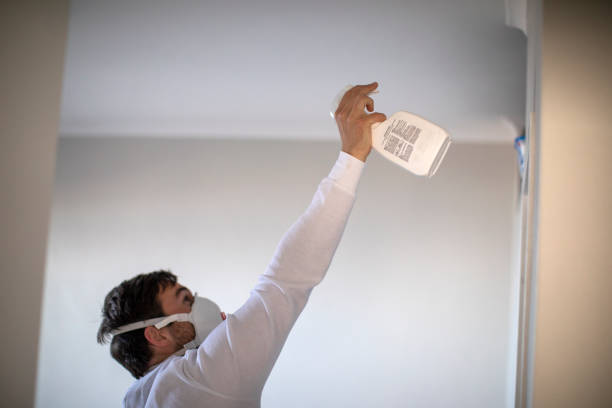 Best Commercial Mold Removal  in Meadow Lake, NM