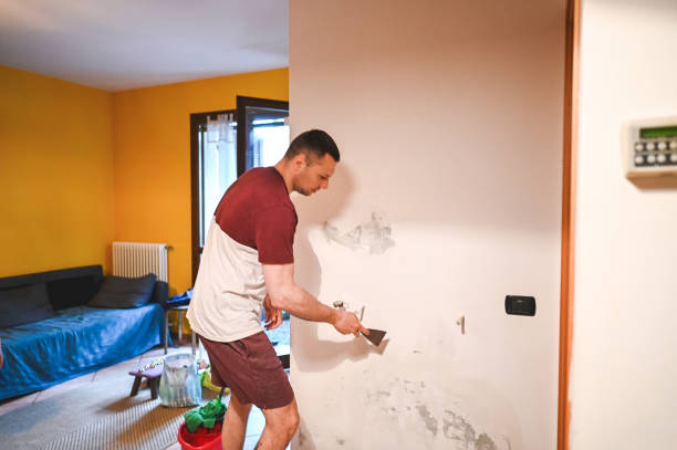 Best Toxic Mold Removal  in Meadow Lake, NM